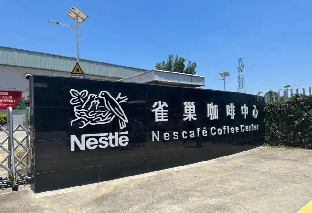 雲南咖啡品種演變與風味解析：鐵皮卡種如何影響手沖風味？