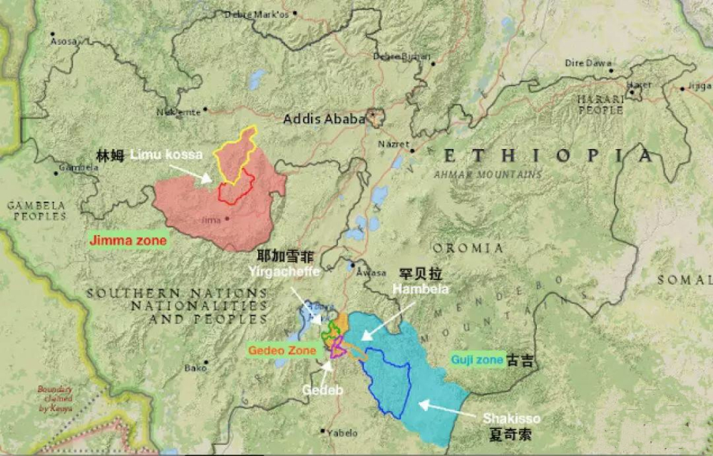 雲南阿拉比卡咖啡豆產區全解析｜風味差異與手沖萃取指南