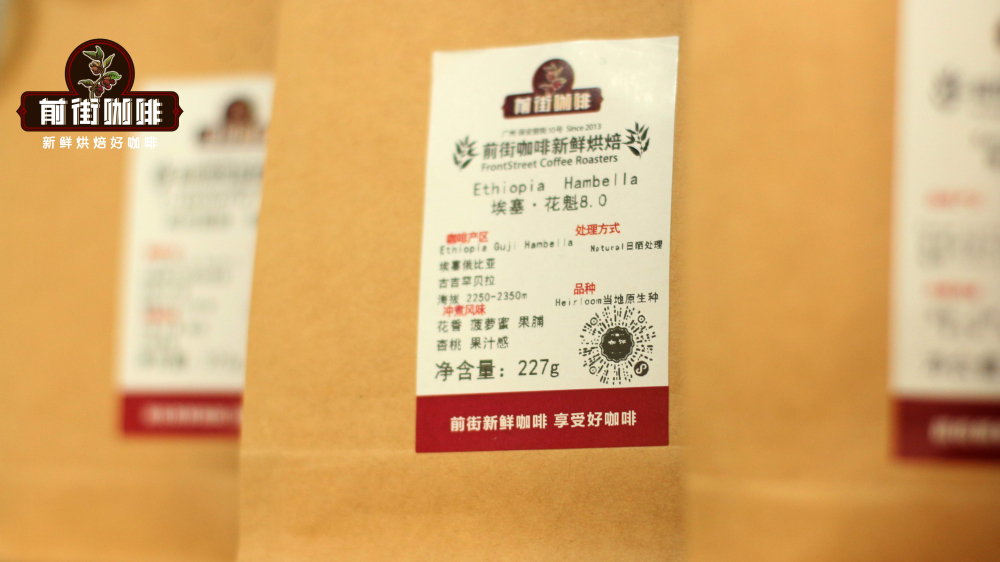 埃塞俄比亞原生種咖啡全解析：產區風味、處理法差異與選購指南