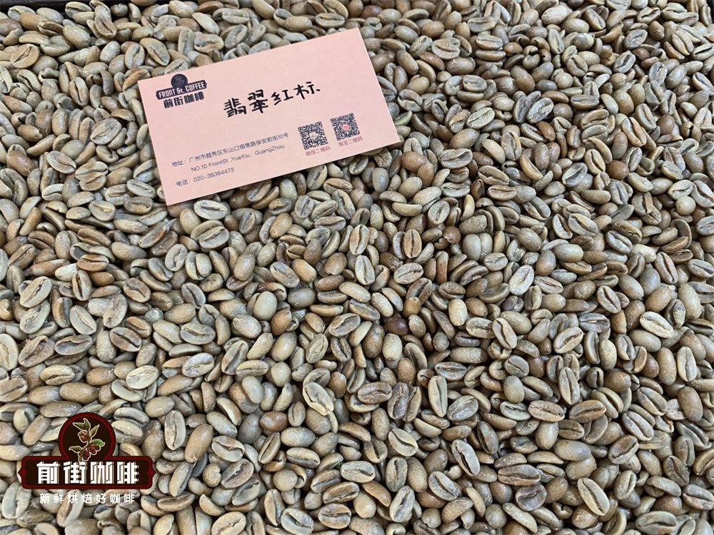 巴拿馬瑰夏咖啡全攻略：從翡翠分級到摩卡壺沖煮技巧