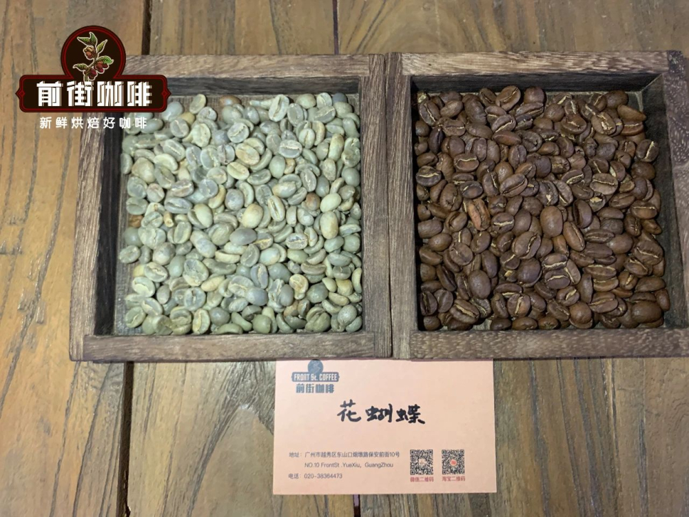巴拿馬波奎特花蝴蝶瑰夏拼配豆解析：單品還是拼配？風味與沖煮全攻略