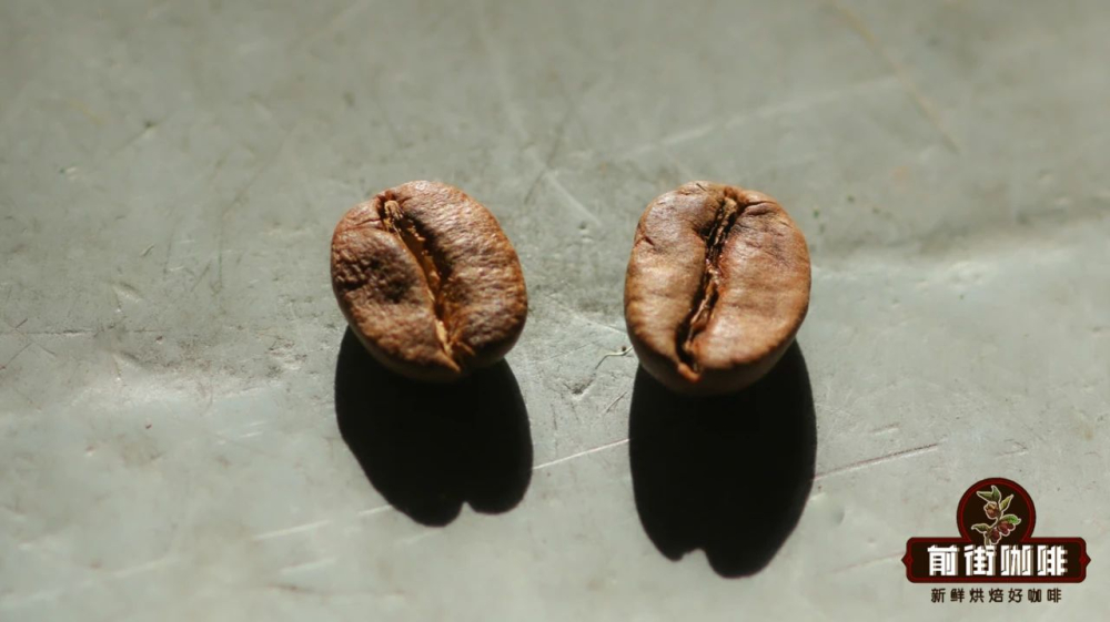 坦桑尼亞咖啡豆分級與風味指南：AA圓豆手沖參數與產區特色