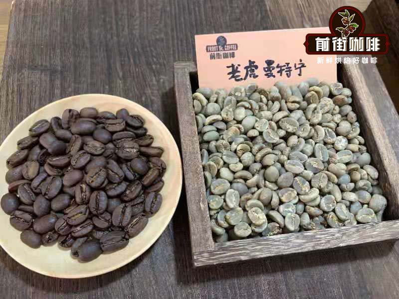 黃金曼特寧真假辨識與印尼豆處理全攻略｜手沖與風味解析