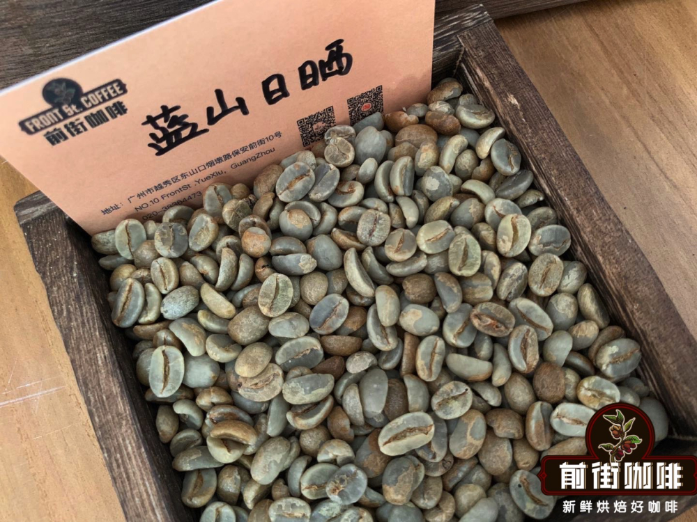 牙買加藍山咖啡全攻略：產區、處理法、鑑別與手沖參數一次掌握