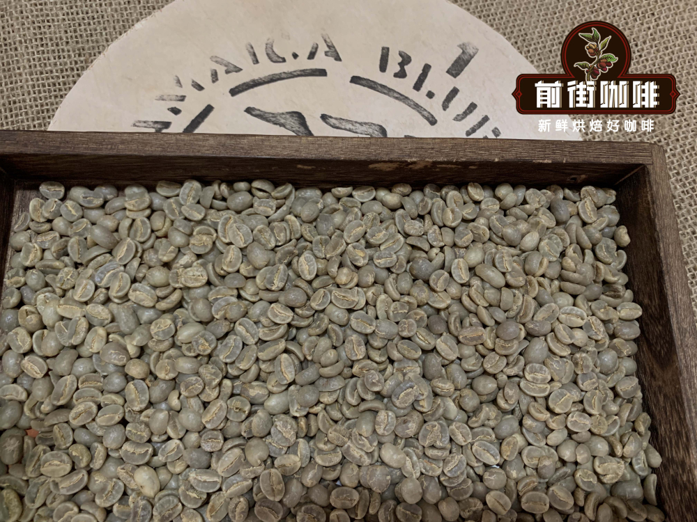 藍山 vs 瑰夏咖啡豆怎麼選？等級、風味與產區差異一次看