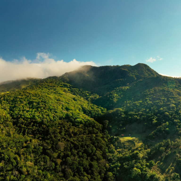 巴拿馬瑰夏手沖指南：波奎特地區風味解析與翡翠分級全攻略