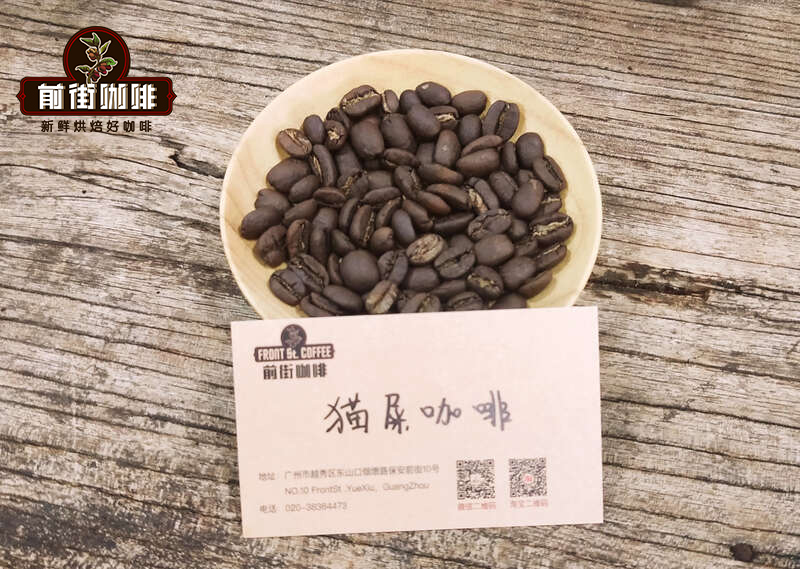 印尼貓屎咖啡風味秘密與產區揭秘：處理法、沖煮建議與高CP值替代豆