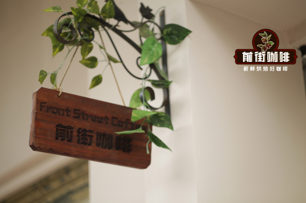 瑰夏 vs 藍山咖啡：風味解析與手沖參數，哪款適合你？