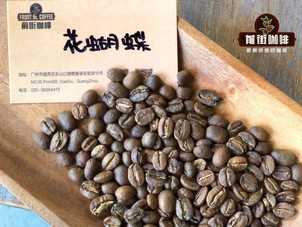 精品咖啡產區風味指南：六款代表性單品豆的酸感與醇厚度解析