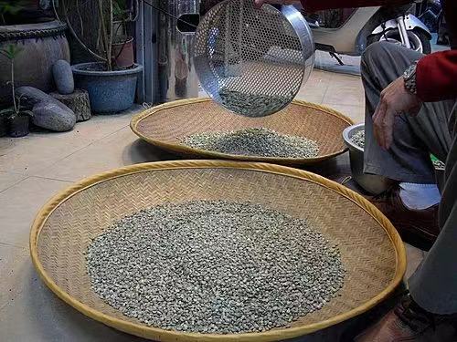 亞洲精品咖啡產區風味大解析：雲南、印尼曼特寧與巴布亞新幾內亞處理法差異
