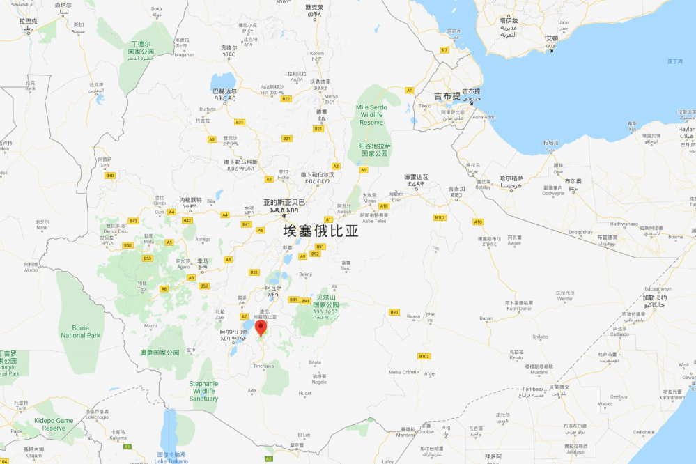 全球咖啡產區風味圖鑑：從非洲花香到中南美醇厚的手沖指南
