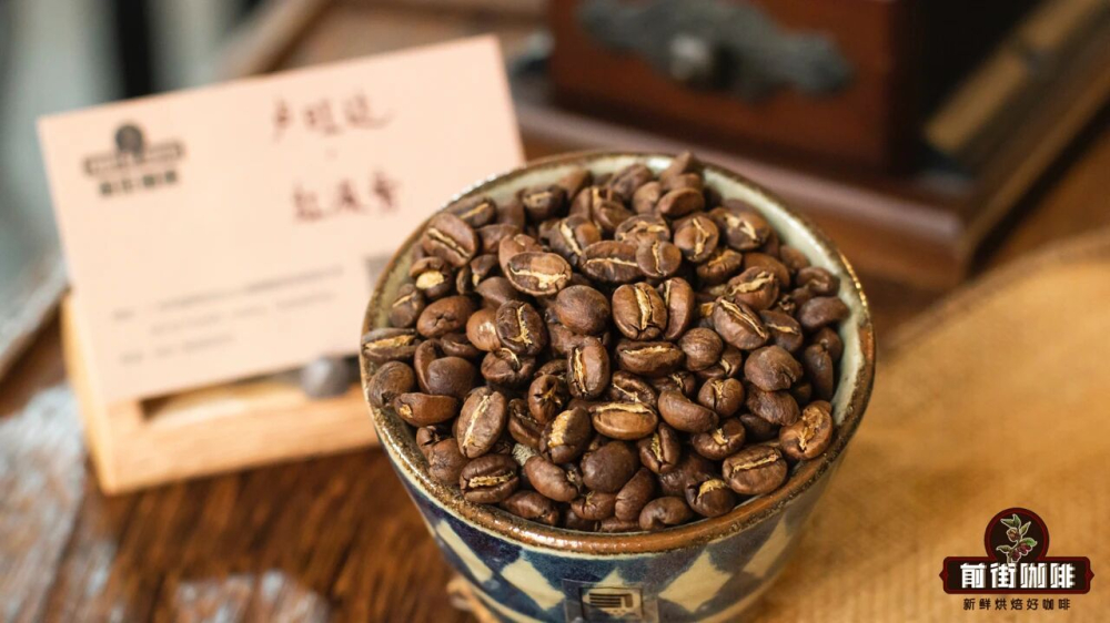 手衝單品咖啡入門指南：盧旺達豆粉水比例與三段式衝煮技巧詳解