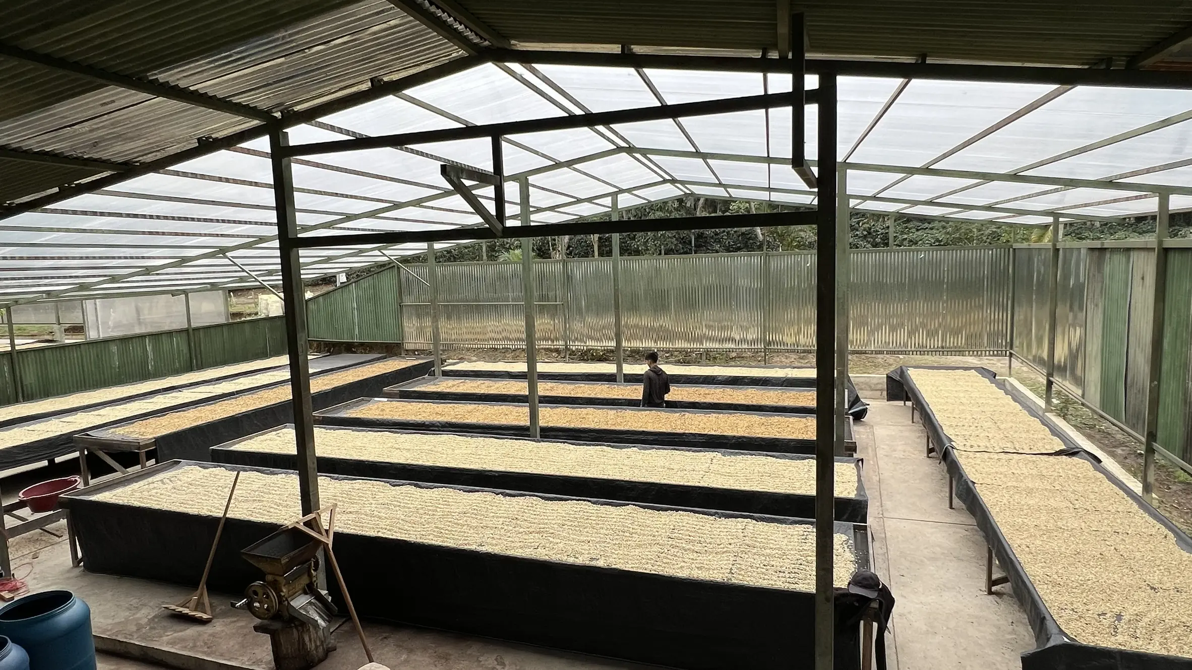 秘魯咖啡風味解析與手沖教學：從卡哈馬卡產區到瑰夏萃取攻略