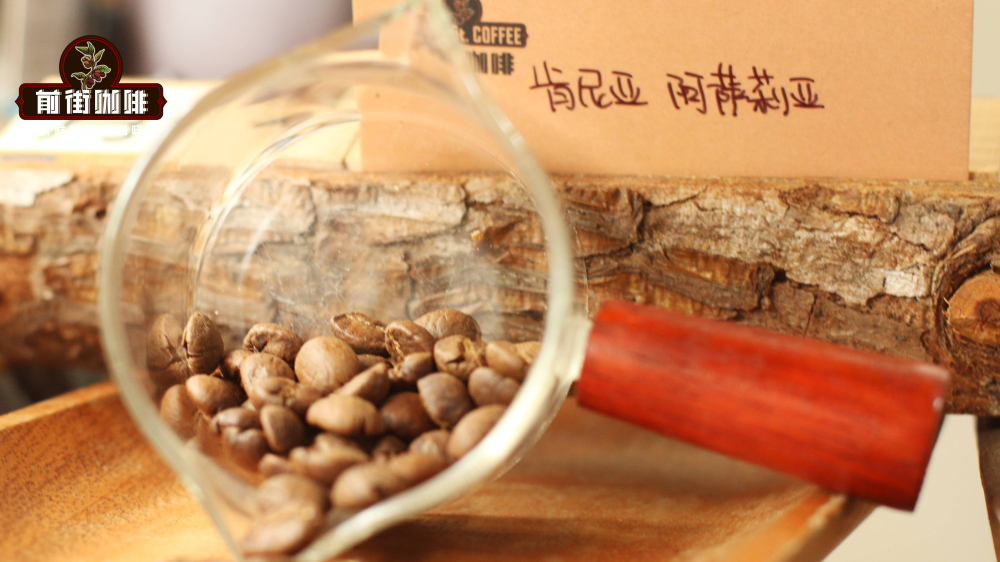 肯尼亞水洗咖啡全攻略：K72發酵工藝、分級競標與推薦款萃取指南