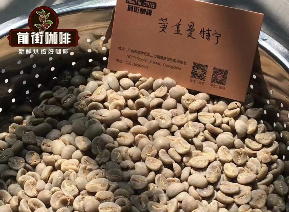 世界各地單品咖啡風味解析：從藍山、曼特寧到瑰夏的產區特色與選購指南