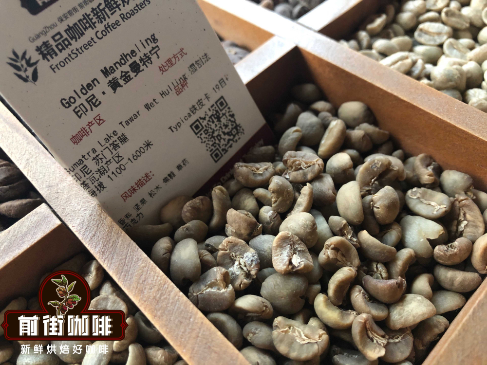 手衝咖啡豆怎麼選？亞洲非洲拉美產區風味解析與精選推薦