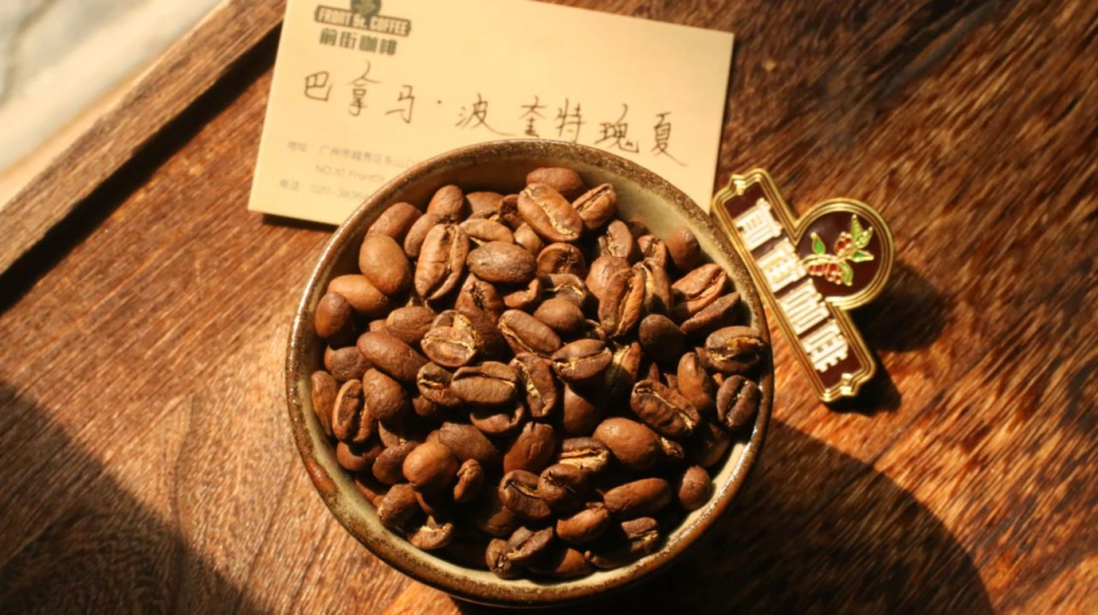 手衝單品咖啡豆選購指南：從風味喜好出發的品種推薦與口感解析
