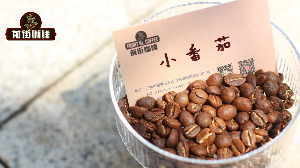 手沖咖啡豆選購指南：從非洲到中南美產區風味與入門單品推薦