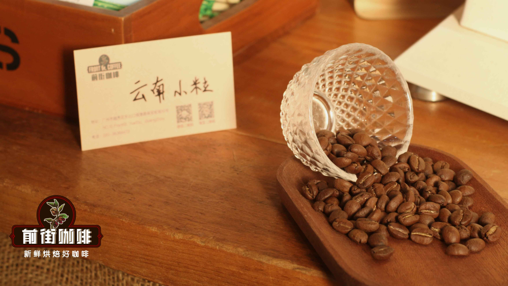 掛耳咖啡入門選購指南：主流風味類型解析與新手友好品牌推薦