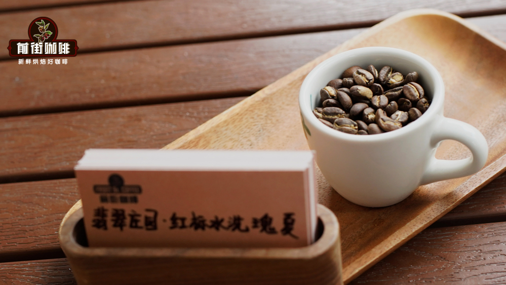 巴拿馬瑰夏咖啡豆全解析｜產區特色與掛耳選購指南