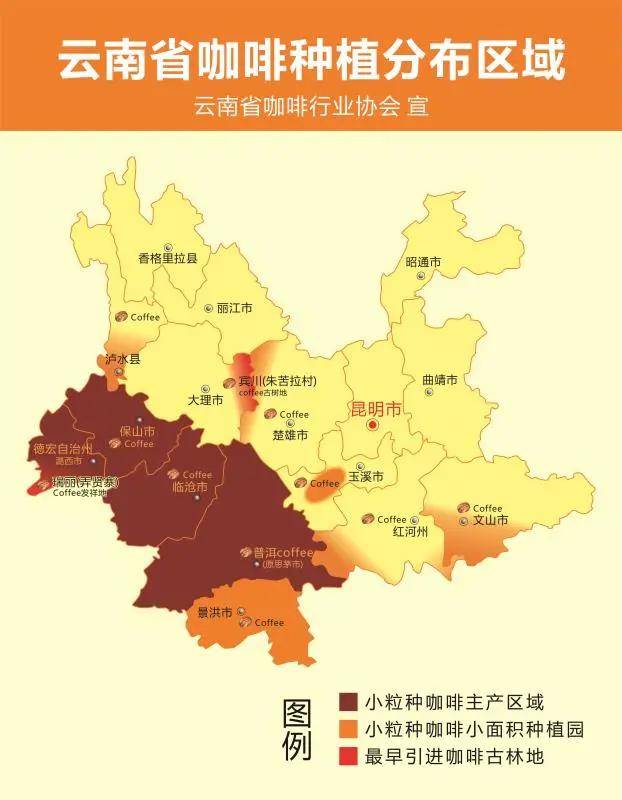 雲南小粒咖啡品種特性與意式拼配應用全攻略