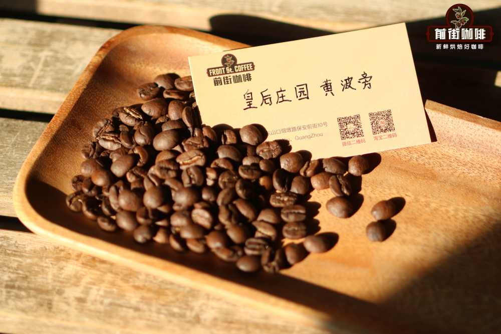 摩卡壺沖煮咖啡入門：選豆技巧、研磨粗細與安全使用全攻略