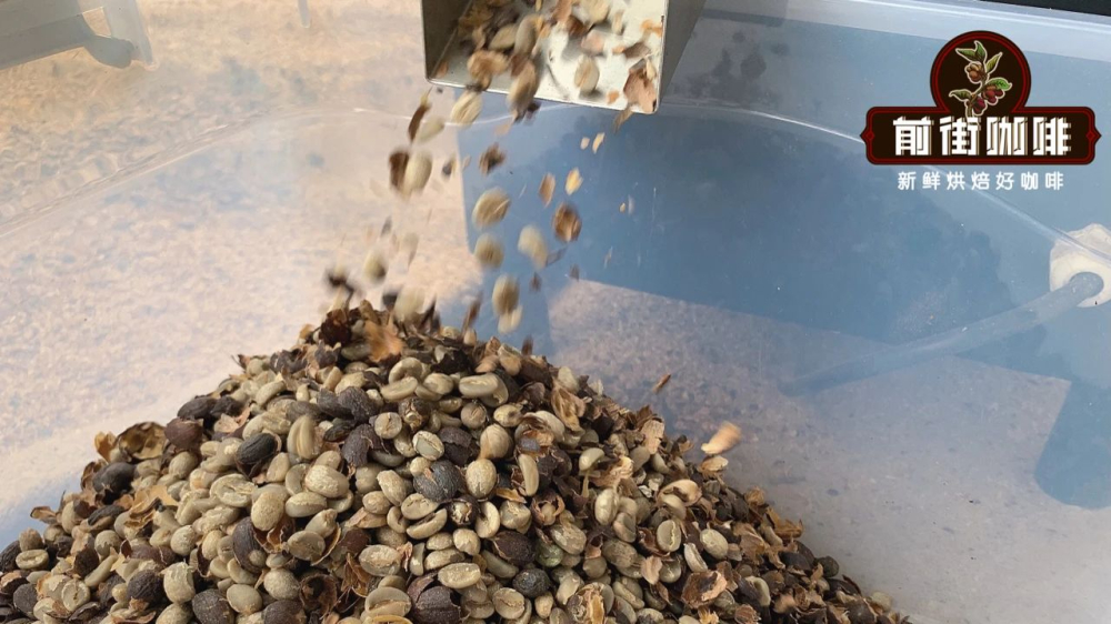 手衝咖啡四大處理法對比：風味差異與豆款推薦指南