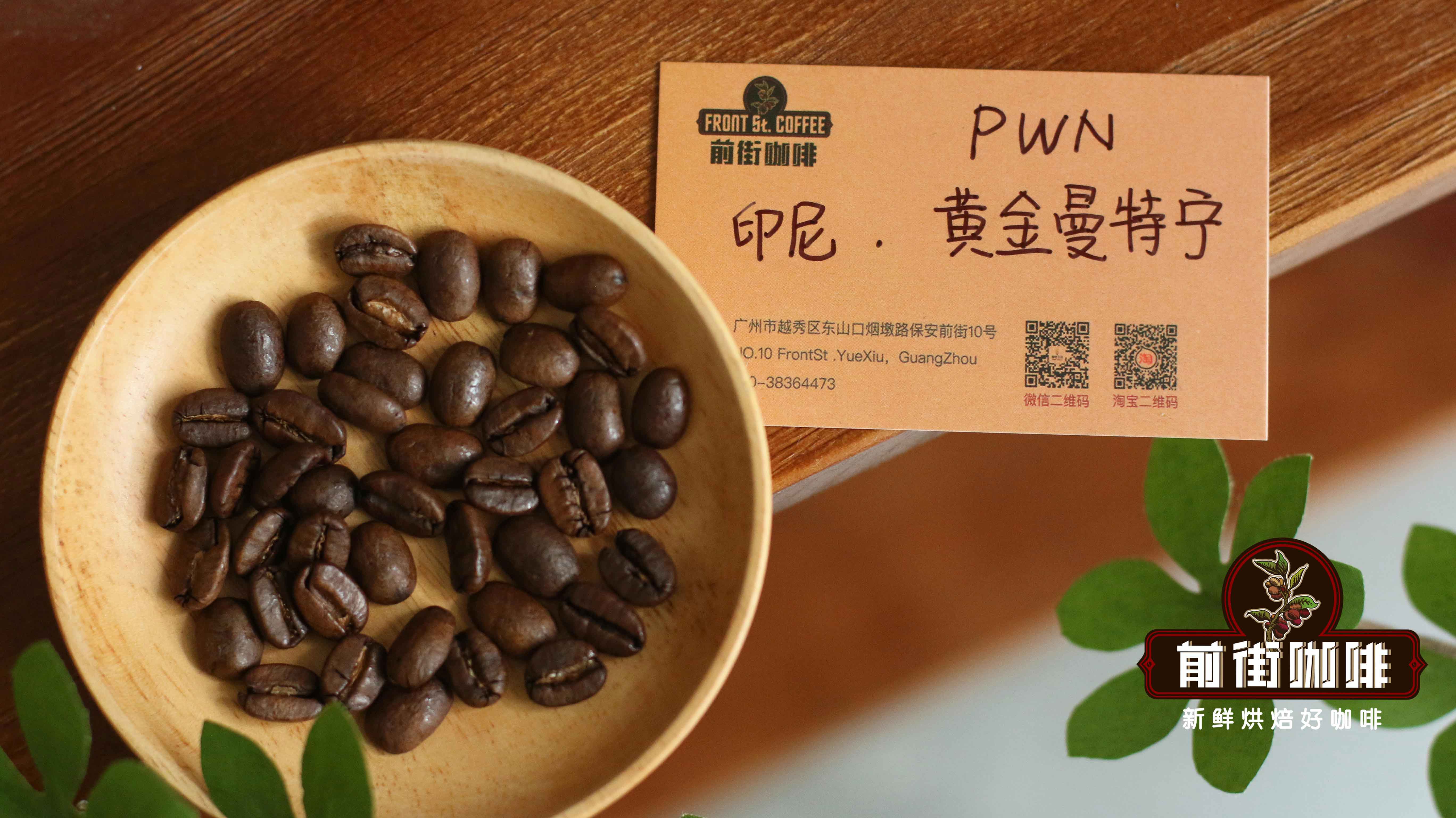 從零開始學手衝：新手選購咖啡器具與豆子的實用指南