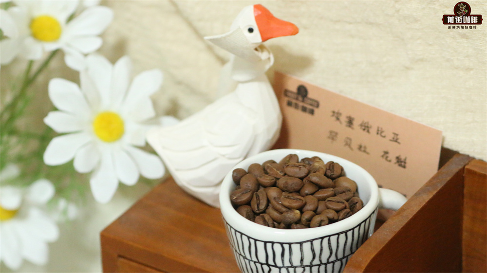 掛耳咖啡製作冰飲教學：手沖冰咖與冷萃步驟圖解、豆種風味解析