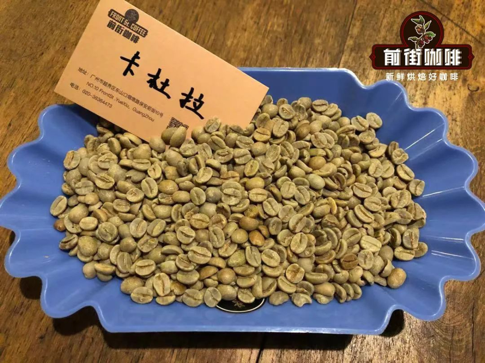 翡翠莊園鑽石山咖啡風味解析：卡杜拉與卡杜艾水洗日曬差異與沖煮建議