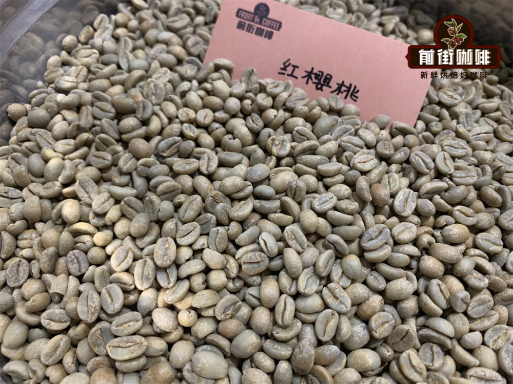 非洲與美洲咖啡豆怎麼選？從耶加雪菲到哥斯達黎加風味解析與處理法差異