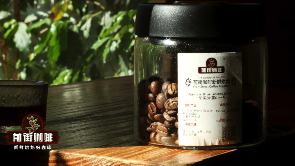 藍山咖啡分級標準詳解：顆粒尺寸與瑕疵率並重的品質體系與前街藍山推薦
