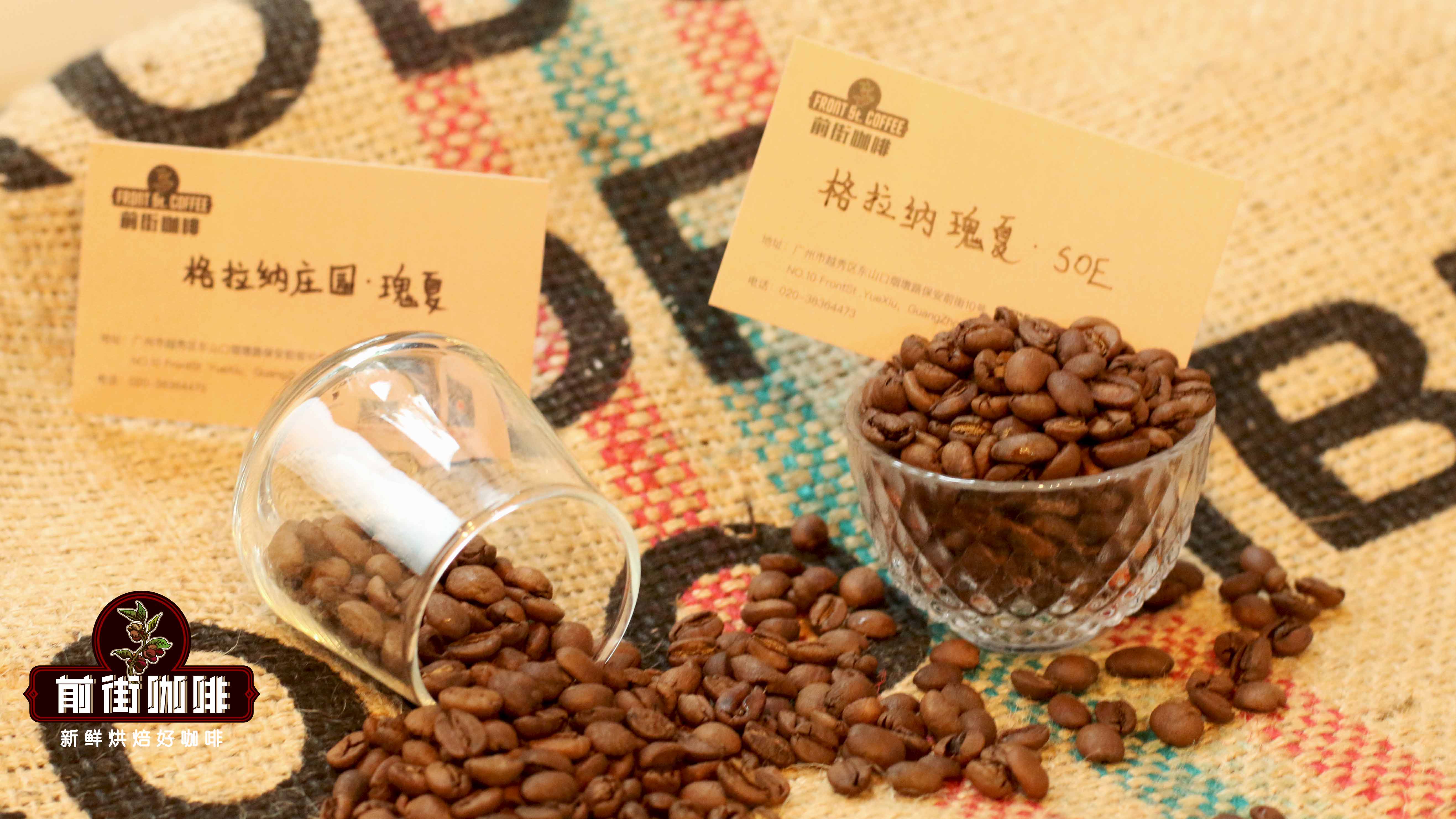 瑰夏咖啡品鑑指南：從產區、風味到沖煮技巧一次掌握