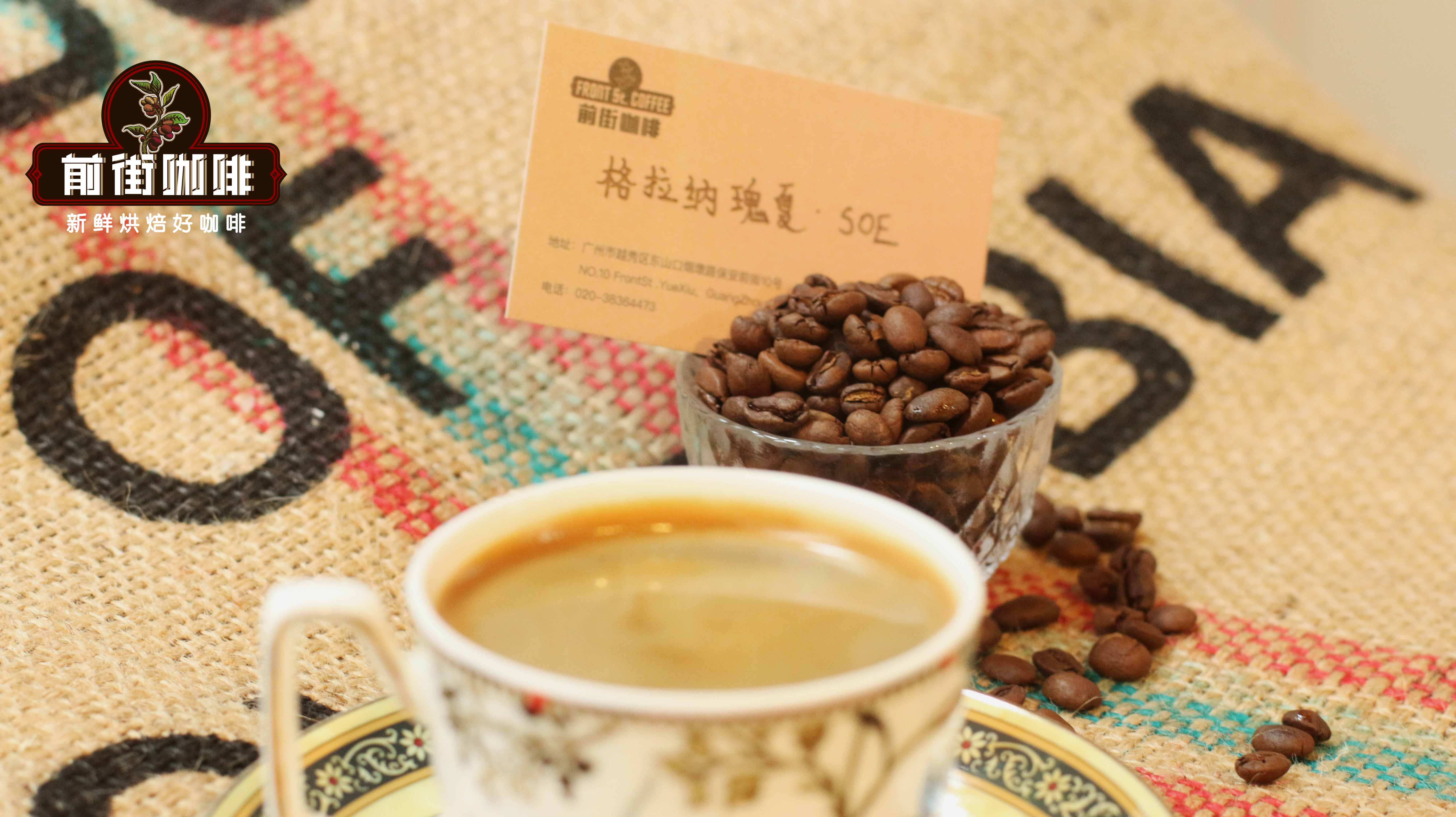 巴拿馬瑰夏咖啡豆價格與品鑑全攻略 手沖參數與等級解析