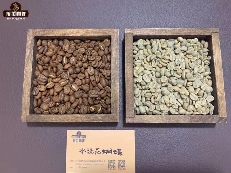 巴拿馬瑰夏咖啡深度解析:品種特性、產區風味與手沖建議