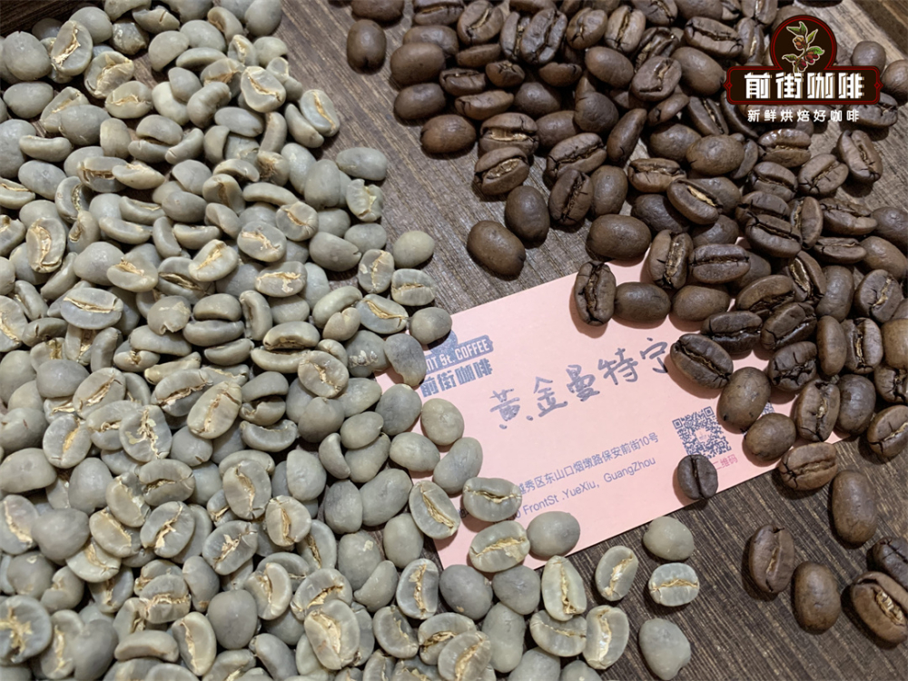 冰手沖咖啡豆推薦｜夏季清爽萃取參數與風味解析