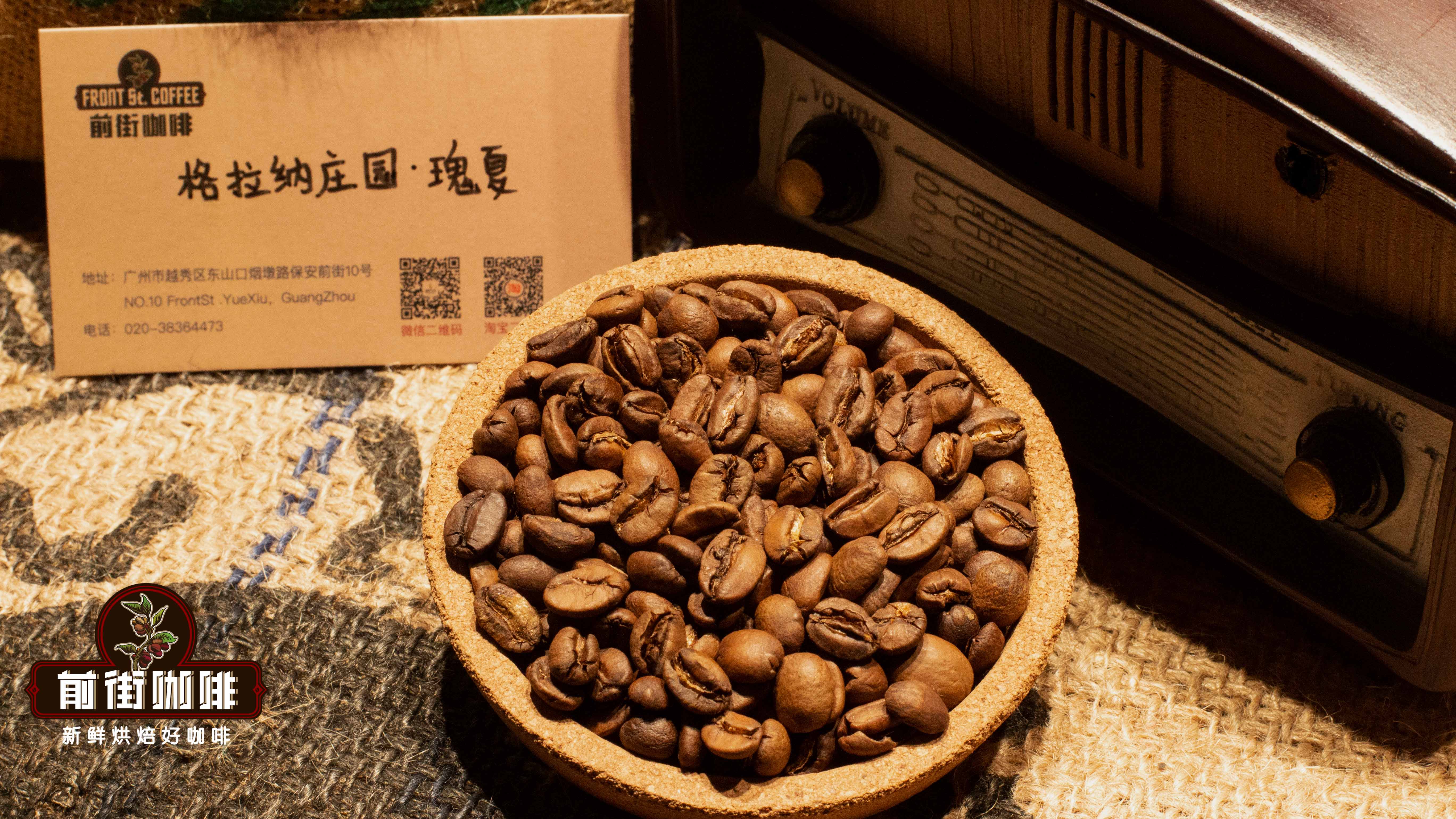 哥斯達黎加 vs 巴拿馬瑰夏：蜜處理與傳統工法風味解析與沖煮建議