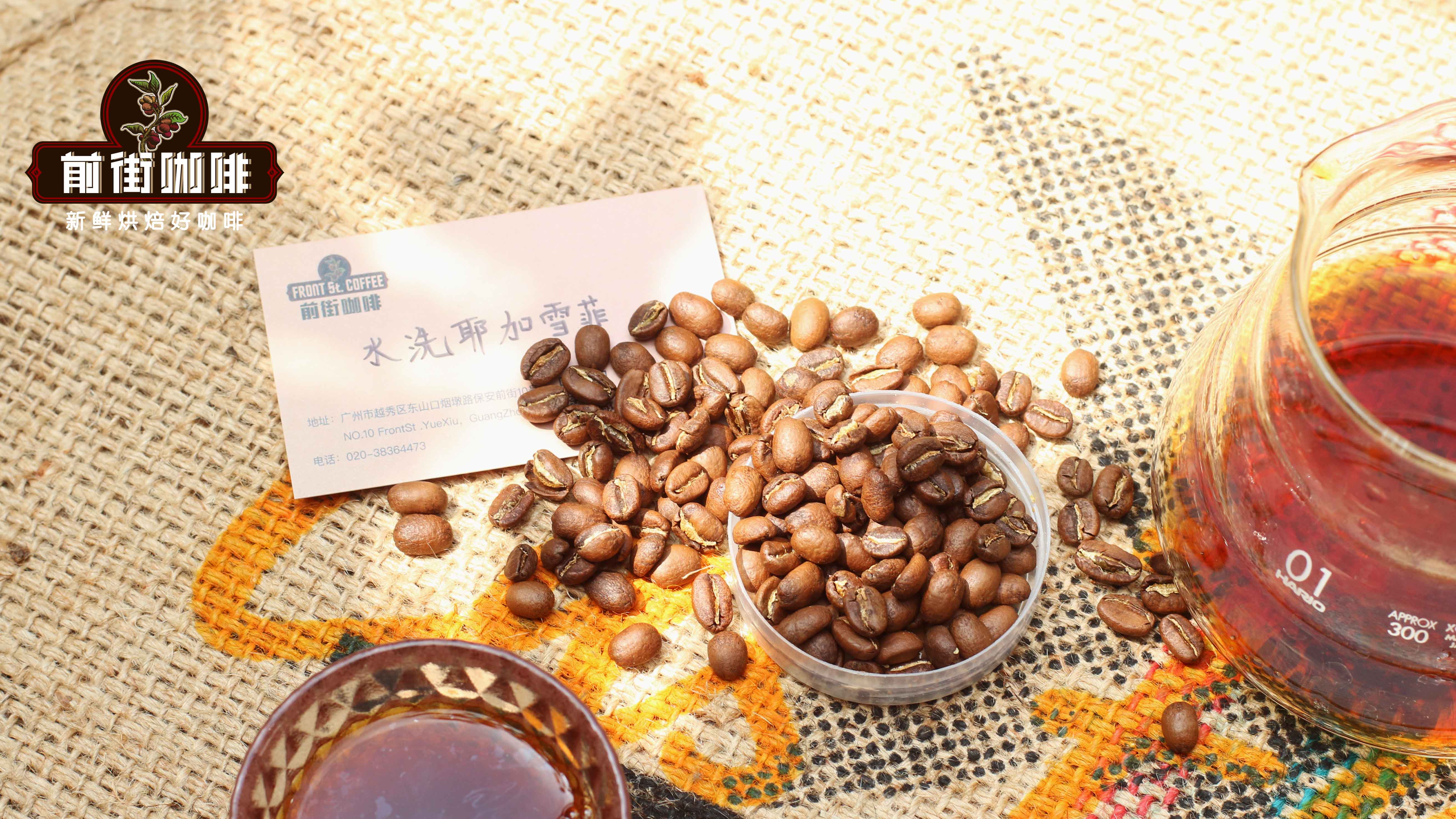 2026 全球十大精品咖啡產地導覽：從高原到海島的風味地圖