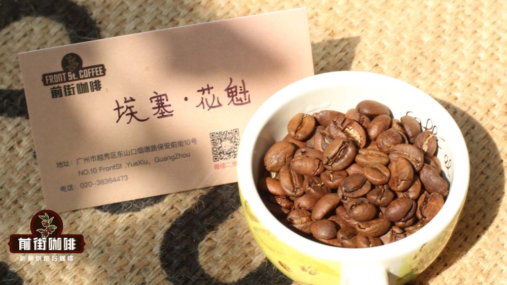 深烘與淺烘咖啡豆全面比較:價格、風味差異與選購建議