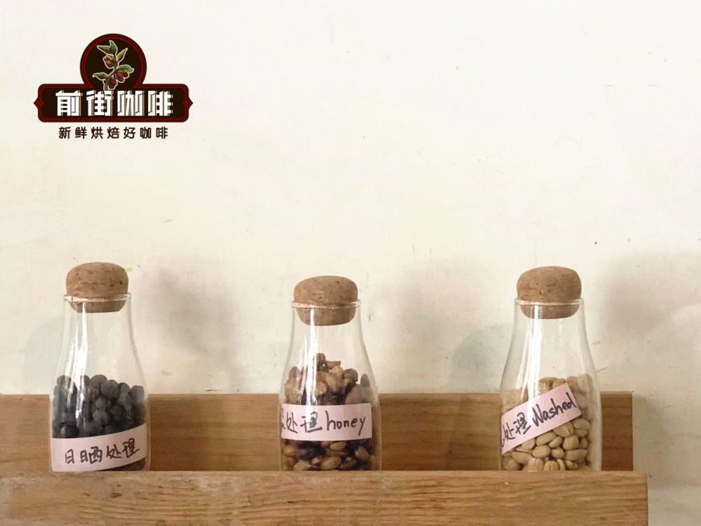 咖啡豆三大處理法全解析：日曬、水洗、蜜處理風味差異與工藝細節