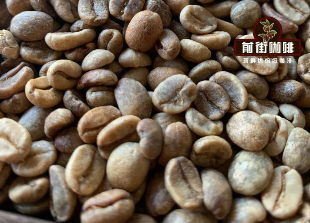 哥斯達黎加蜜處理咖啡豆全解析：從黃蜜到葡萄乾蜜的風味秘密