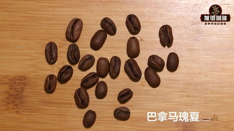巴拿馬瑰夏豆